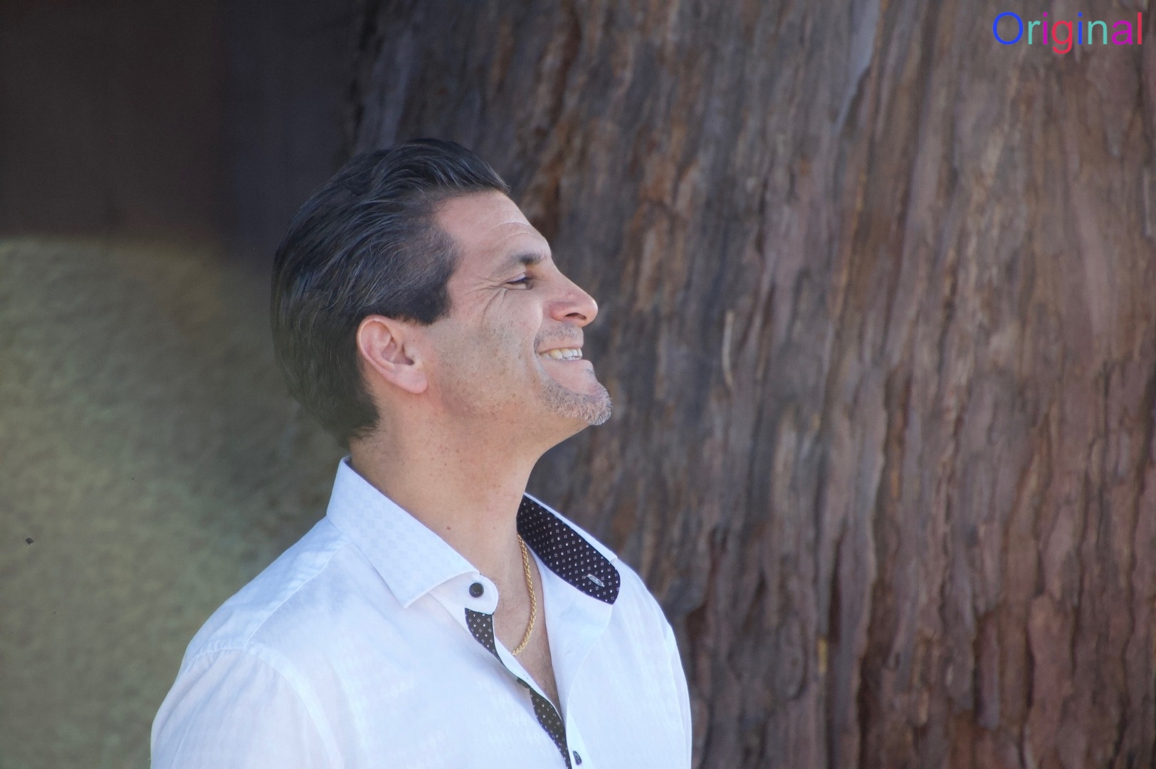 Su party (53) Original